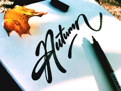 Autumn autumn calligraphy flow handwriting leave paper script simple sketch type