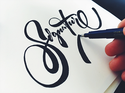 Signature art calligraphy day independence lettering letters lithuania signature type