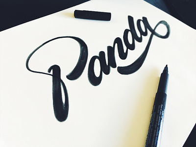 Panda calligraphy custom flow lettering panda photography script sketch