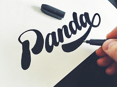 Panda brand flow lettering logo panda photography script. sketch type unique