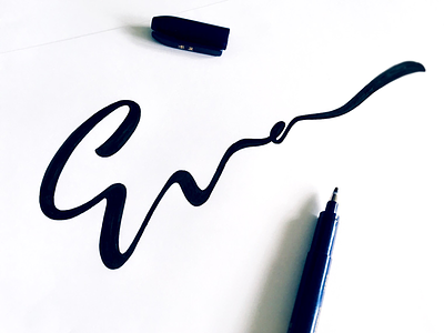 Eva calligraphy custom eva flow handtype lettering logo make script sketch type