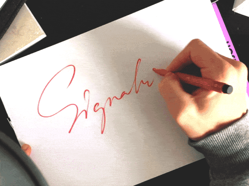 Signature animated calligraphy flow gif lettering logo process script style type