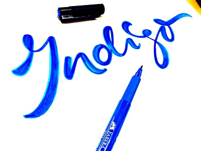 Indigo branding brush calligraphy custom flow indigo logo script type unique