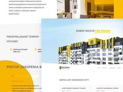 Real-estate identity branding identity landing page logo real estate web yellow