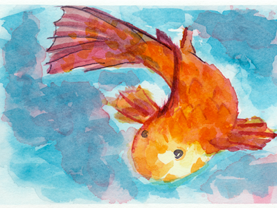 Koi carpa fish koi study watercolor
