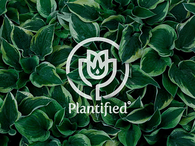 Plantified Logo Design branding logo