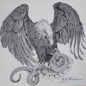 Eagle's Prey americana bird calligraphy eagle illustration snake