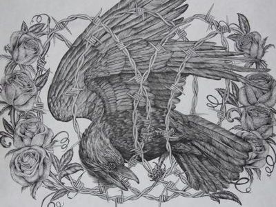 Caged Bird bird raven barbedwire roses illustration