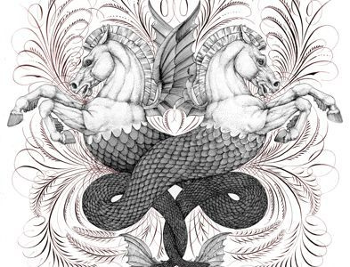 Seahorses calligraphy illustration seahorse greek flourishing pen horse nautical