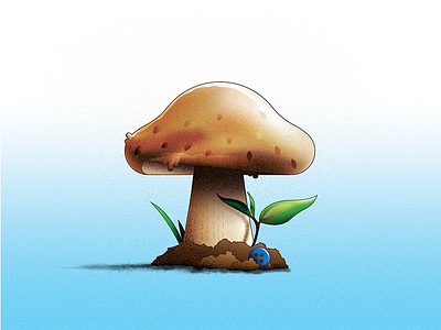 Shroom dirt fungus illustration mushroom plant vector woods