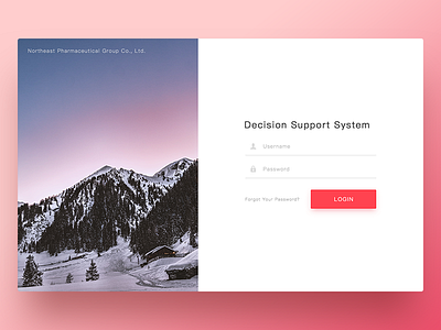 Decision Support System decision login password platform sign up submit support system