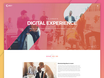 Owkey WordPress Theme