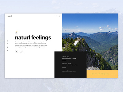 Naturals WIP creative header interactive minimal naturals poster slider ui ux website website design