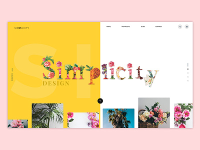 Simplicity concept design graphics presentation product slider ui ui design ux webdesign website