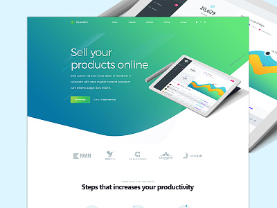 Squared Landing Page