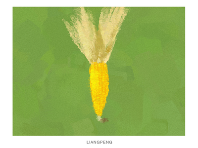 CORN corn fruit illustration