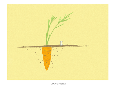 CARROT carrot fruit illustration