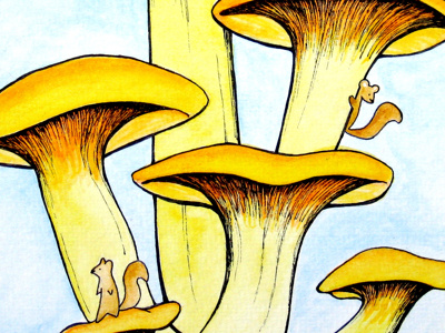 Chantree illustration mushroom squirrel watercolor