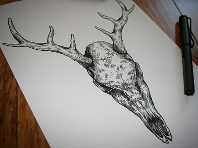 Stag Skull black bones illustration ink pen skull texture