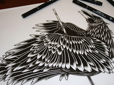 Old Crow bird black crow illustration ink lines pen raven