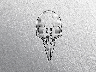 Bird Skull