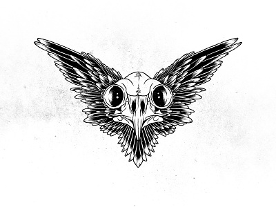 Not so wise bird black illustration ink owl owl skull skull wings