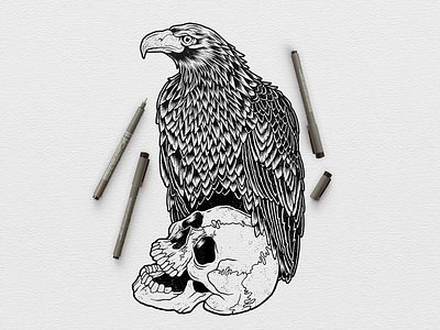 Eagle Skull drawing eagle illustration ink paper pen skull texture