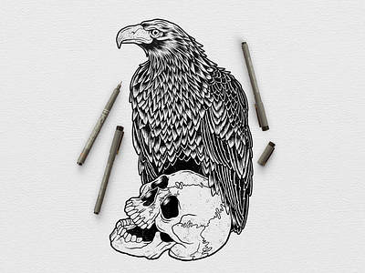 Eagle Skull