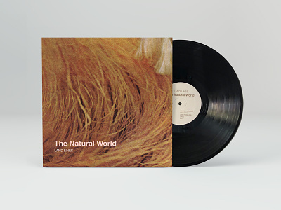Album Art for 'The Natural World' by Land Lines album denver graphic design music vinyl