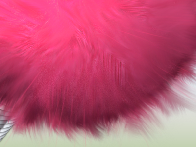 Fluffy Detail