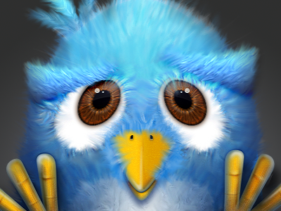 Fluffy Twitter Detail bird design detail fluffy icon twitter