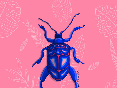 Bug bug illustration pink procreate
