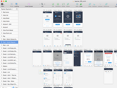 Teamer Payments wireframing iOS app ios payments sketch stripe ui ux wireframe wireframing