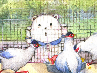 Zoo bear illustration watercolour zoo