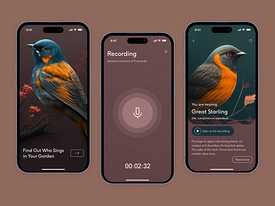 Birds recognition app a recording of birdsong animals app app design audio recording birds chirping illustration mobile app nature singing songs spot a bird ui ux