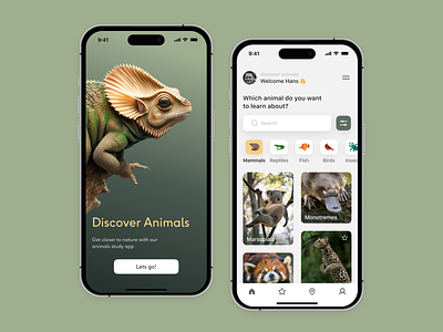 A mobile app for studying animals animal app animal education animal lover animal of the world animals app app design design inspiration education learn animal mobile app mobiledesign nature ui ux wildlife zoo app