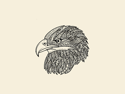 Eagle Illustration bird eagle fly handdrawn illustration lineart wacom