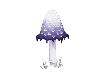 Magic mushroom art book illustration digitalart illustration illustrations mushroom