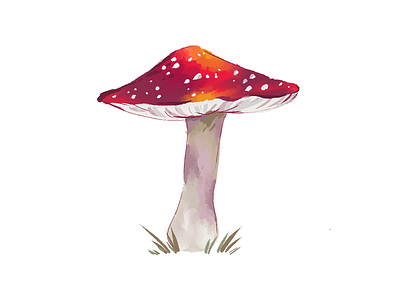 Fly agaric art book illustration cute digitalart fly agaric illustration illustrations mushroom