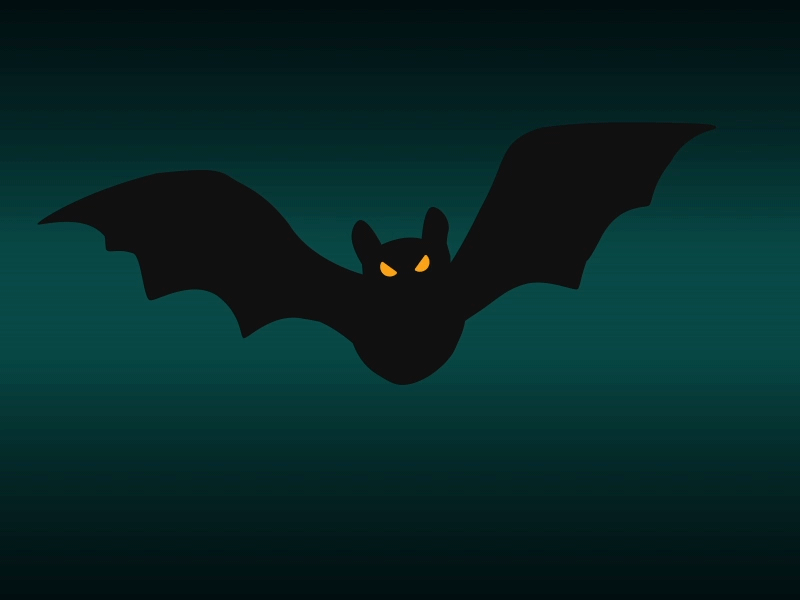 Bat I Spent Too Much Time On after effects bat halloween