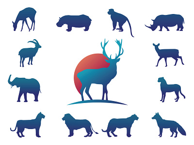 Collection Gradient Animals