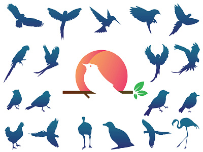 Birds Gradient Set animals bird birds birds gradient set gradient icons illustration logo vector