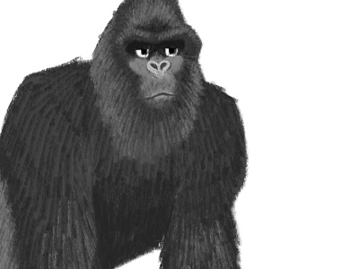 Grillers don't do leg days gorilla illustration pencil procreate silverback