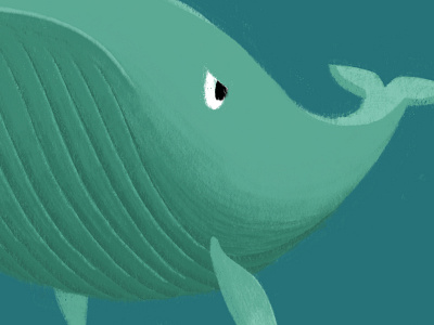 Whale has the Hump childrens book illustration pencil procreate whale