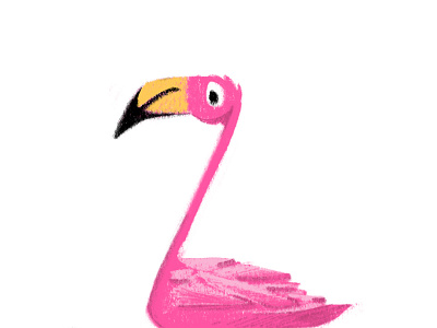 FLINGAMO childrens book flamingo illustration pink