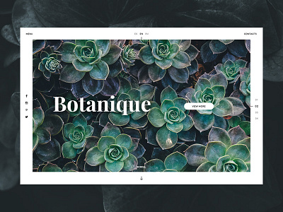 Botanique clean modern. ui web design