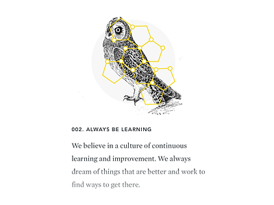 Owl icon illustration typography web