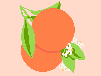 Naranja dulce flat illustration illustrator vector