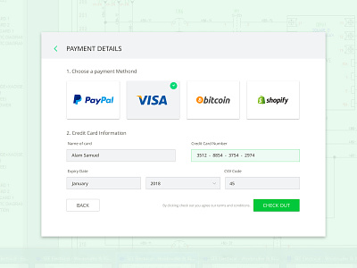 Payment Details app bitcoin branding design design app paypal pro shopify shot typography visa web