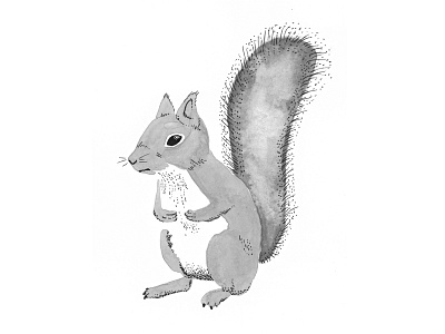 Squirrel animal design drawing illustration ink pen squirrel